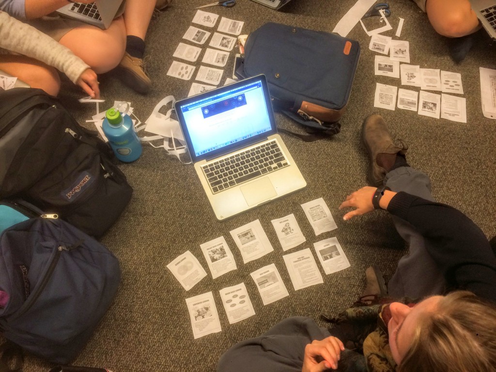 Students completing the card sort activity.