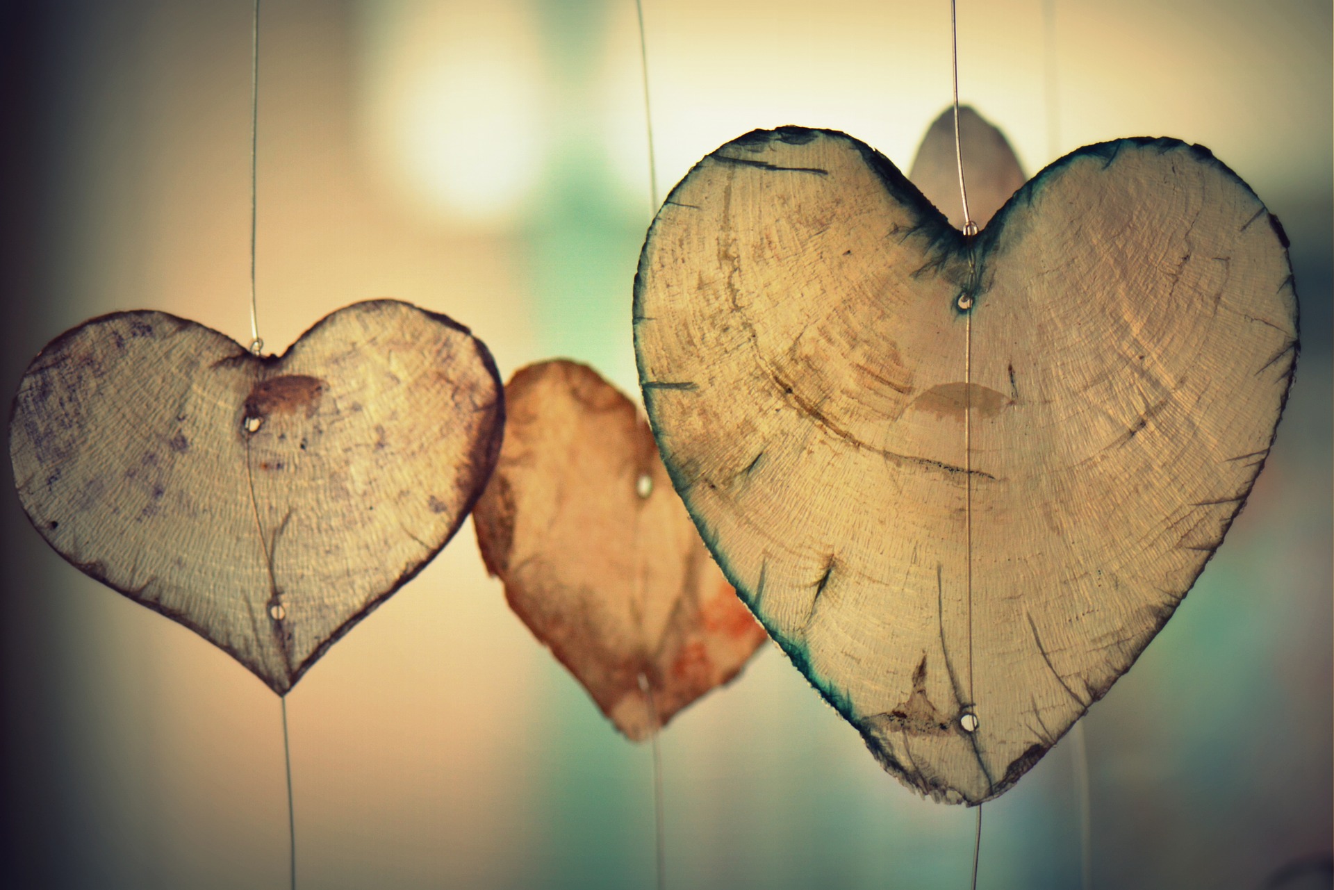 Teachable Moments: Small Successes and Warm Fuzzies