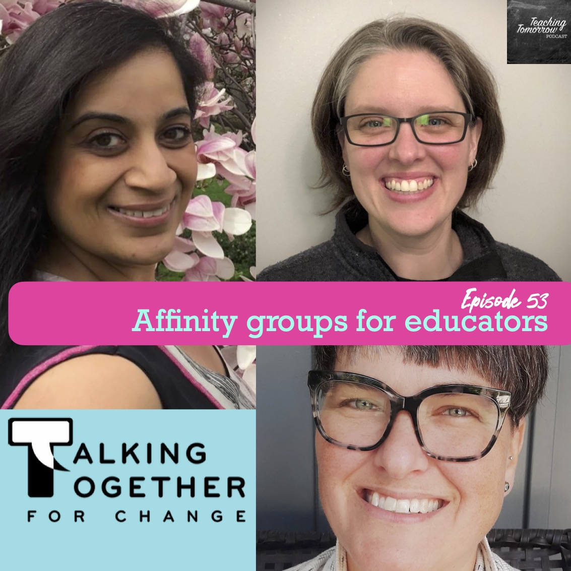 53. Affinity groups for educators with Talking Together For Change